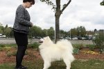 Meilleur de Sexe Opposé Amiens 2018